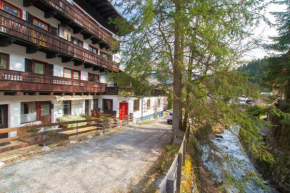 Отель Apartment Peacock - Steinbock Lodges, Целль-Ам-Зее
